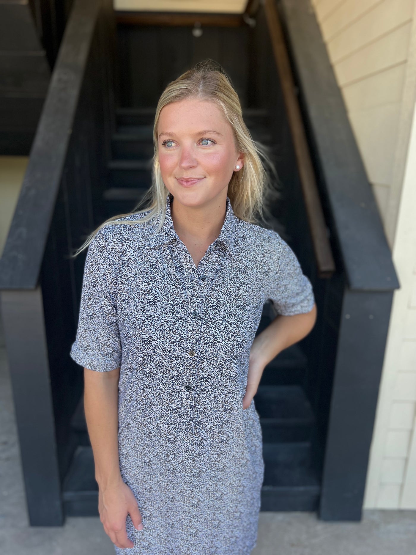 Leopard Collar Button Down Dress