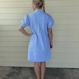 Blue/White Stripe Zip Dress
