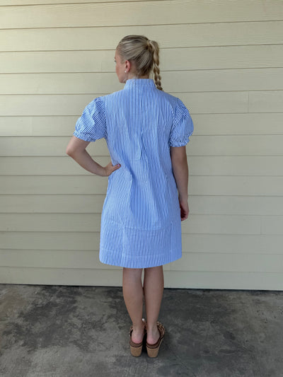Blue/White Stripe Zip Dress