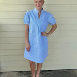 Blue/White Stripe Zip Dress