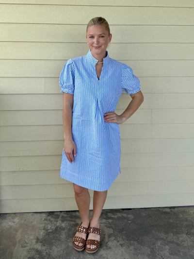 Blue/White Stripe Zip Dress