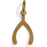 Wishbone Amulet
